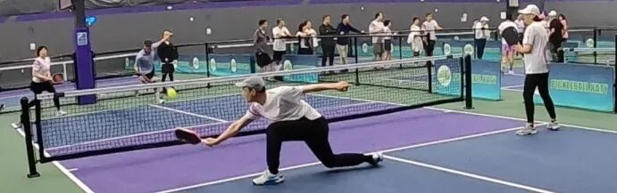 杨保华的匹克球独孤九剑招式